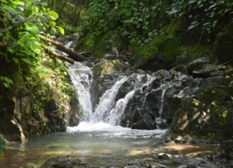Catarata en Corcovado