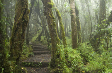 Parque Nacional Braulio Carrillo