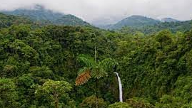 Zona Protectora La Cangreja