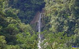 Parque Nacional Tapantí