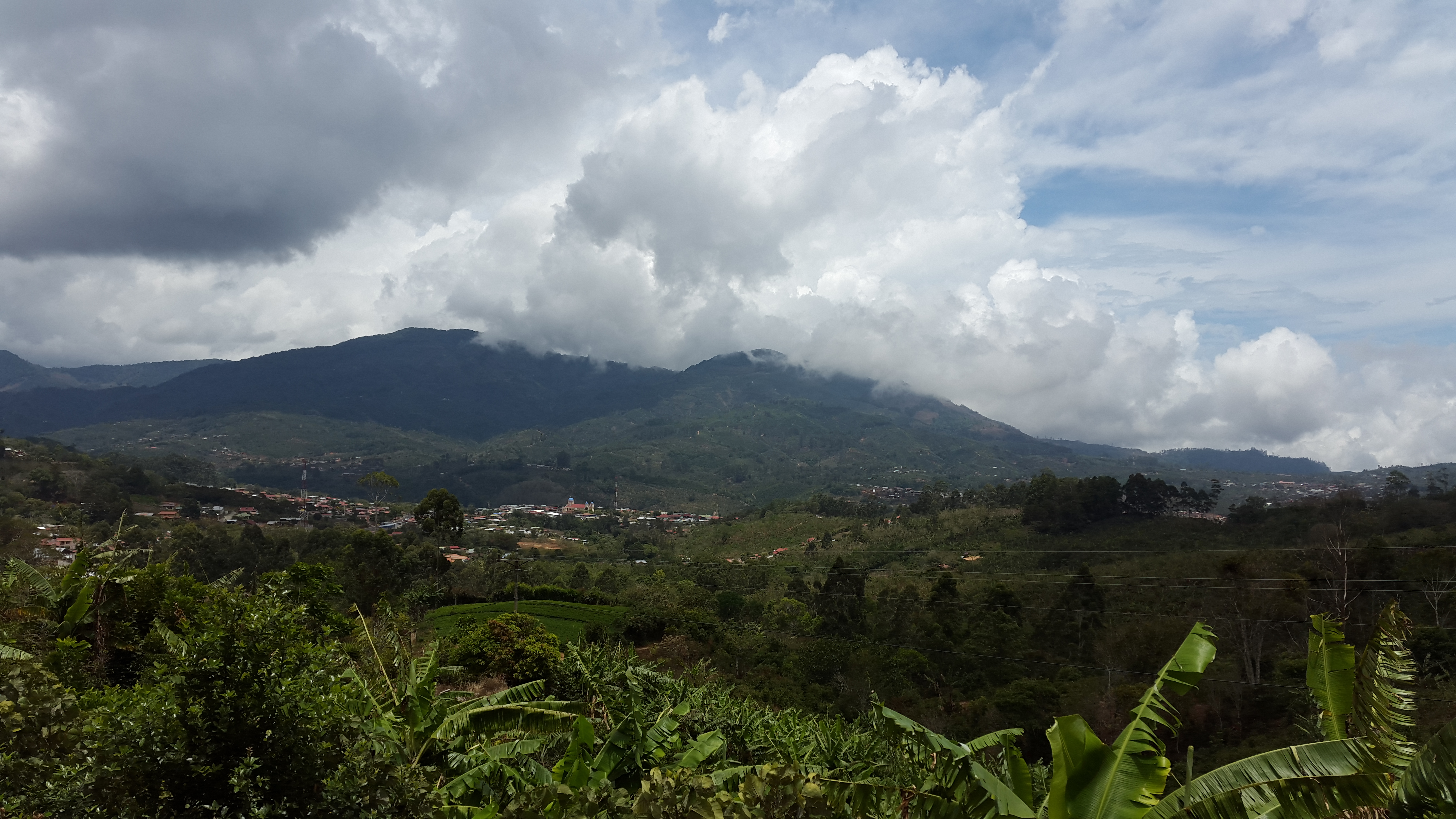 Reserva Forestal Los Santos