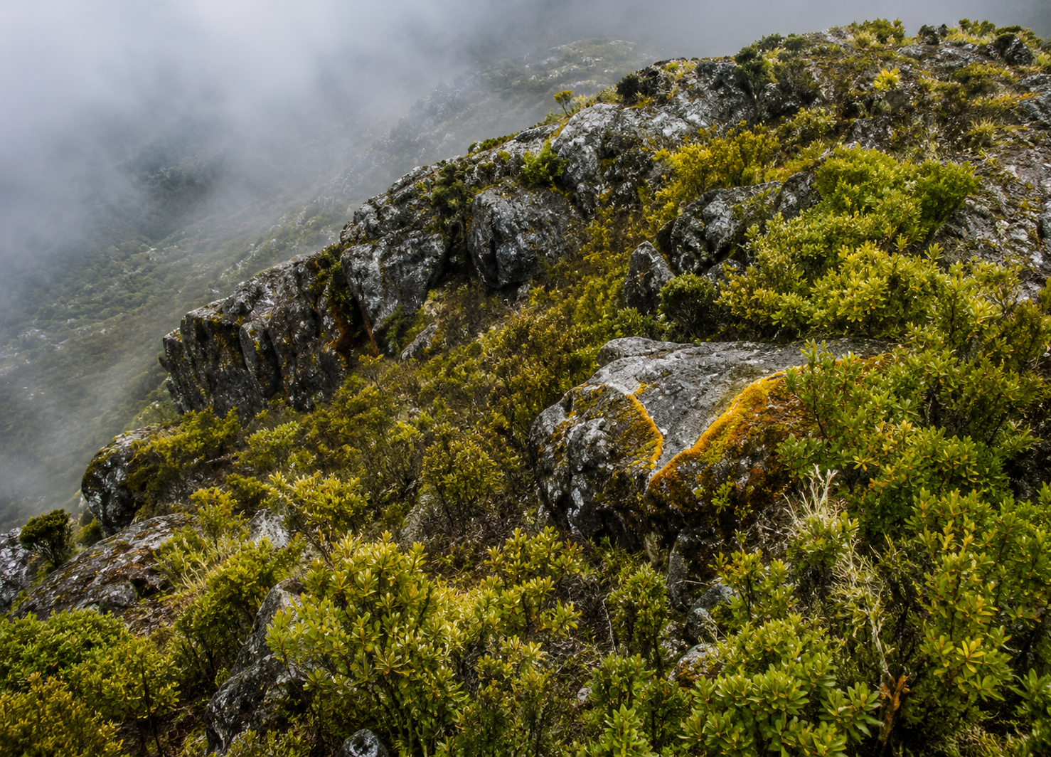 Parque Nacional Chirripó