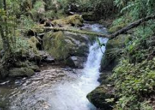 Catarata en Corcovado