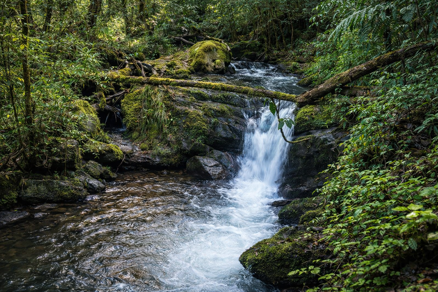 Catarata en Corcovado