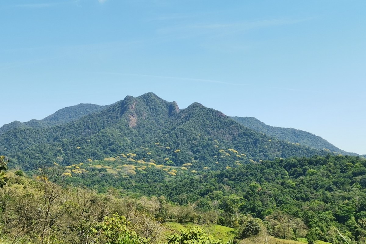 Parque Nacional La Cangreja