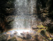 Reserva Forestal Grecia