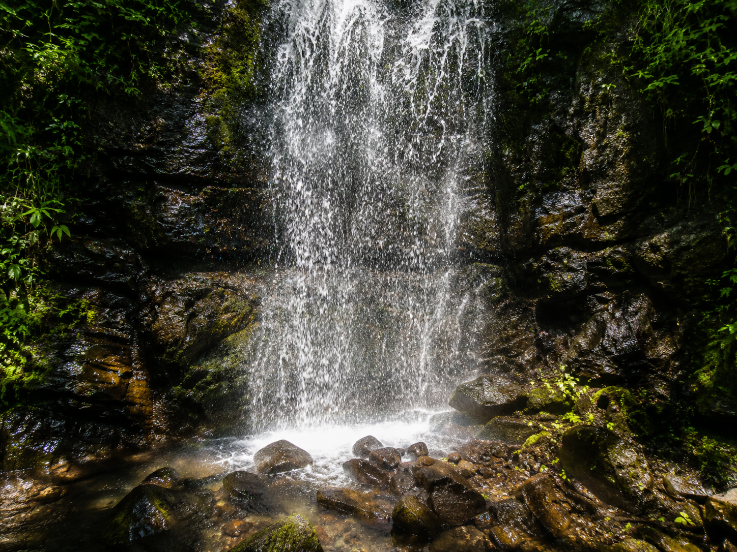 Reserva Forestal Grecia