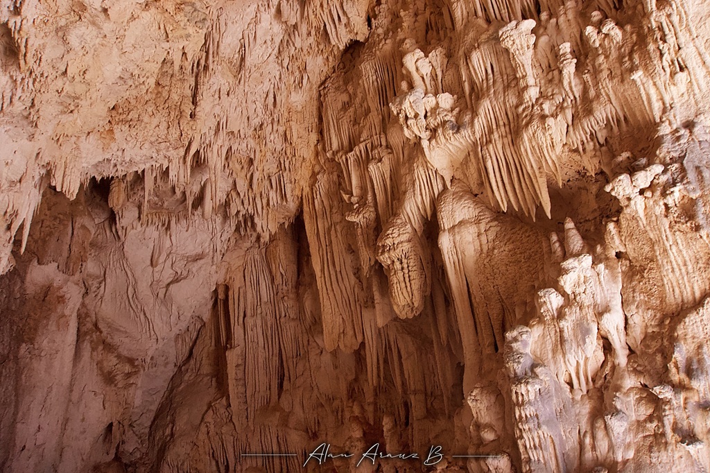 Caverna en Barra Honda