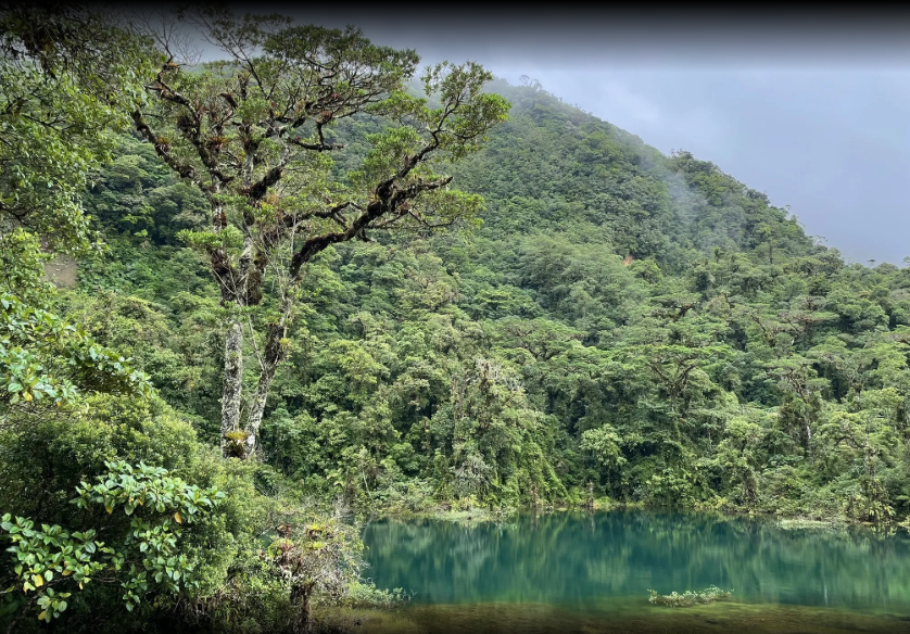 Parque Nacional Juan Castro Blanco