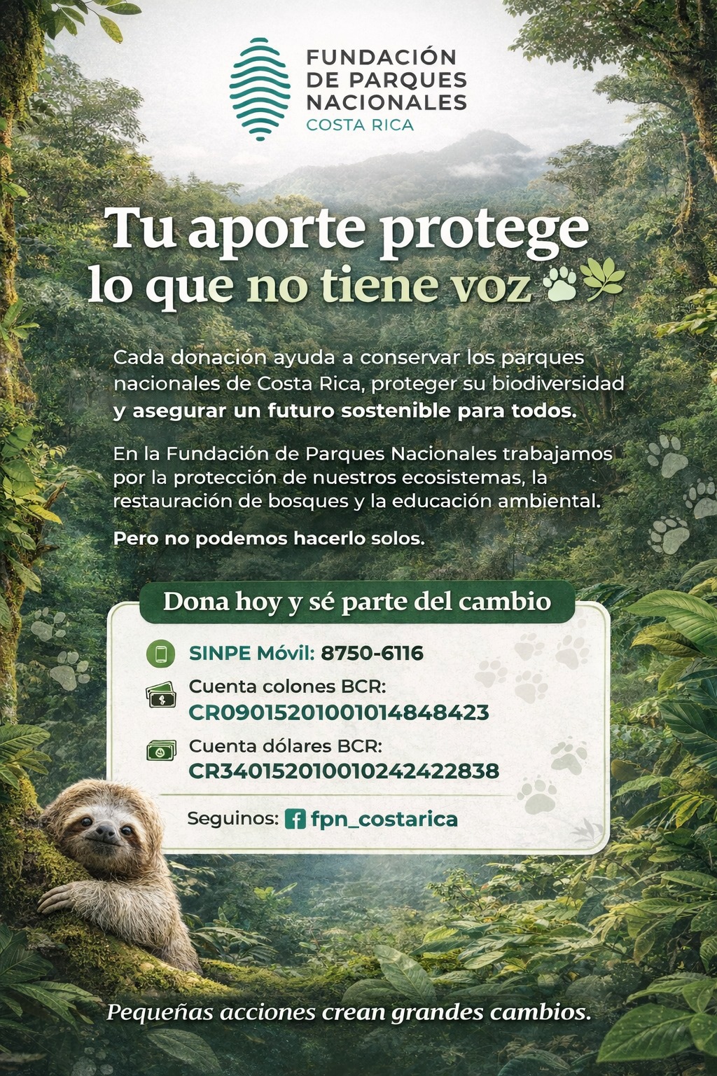 Donación FPN