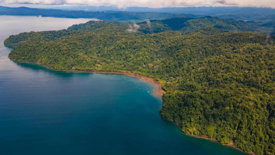 Parque Nacional Tortuguero