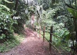 Refugio Nacional de Vida Silvestre Golfito