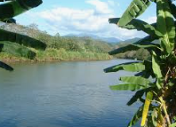 Parque Nacional Carara