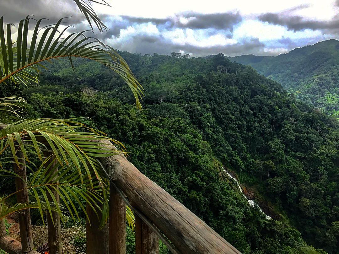 Parque Nacional Carara