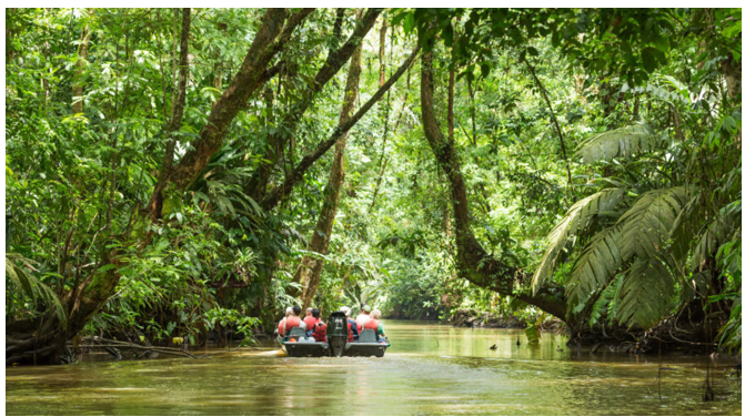 Canales de Tortuguero