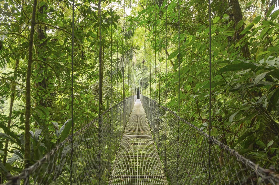 Turismo Regenerativo